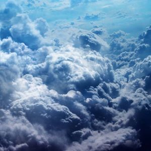 Meet your Posher, Penelope